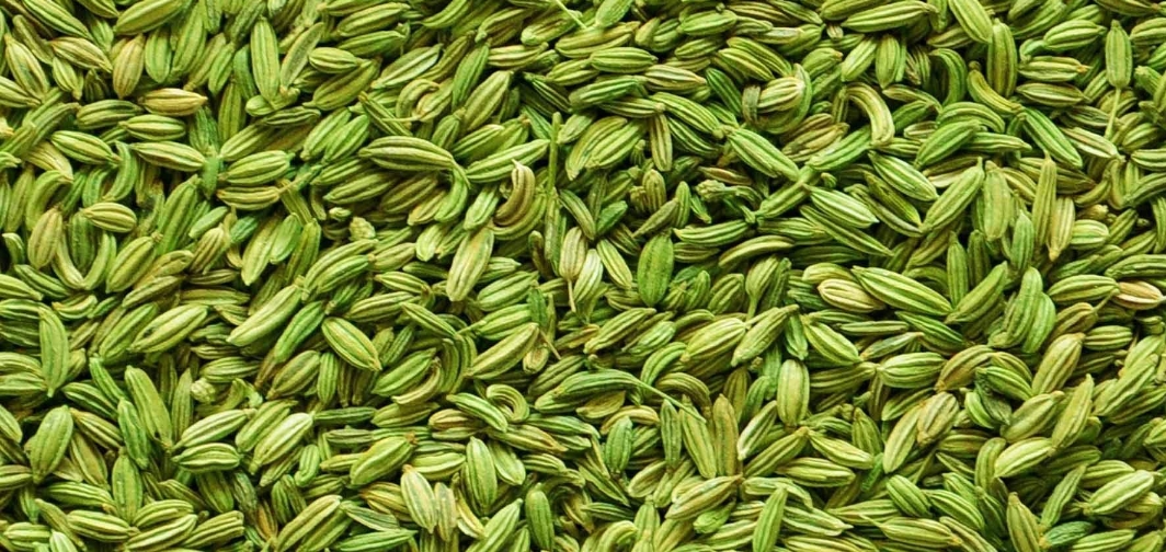 सौंफ खाने के अद्भुत फायदे: जानिए इसके महत्व और सावधानियाँ